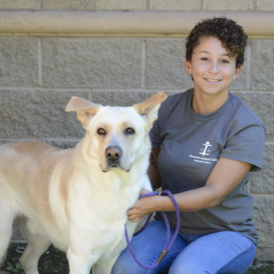 Carolyn - CPDT - KA Dog Trainer